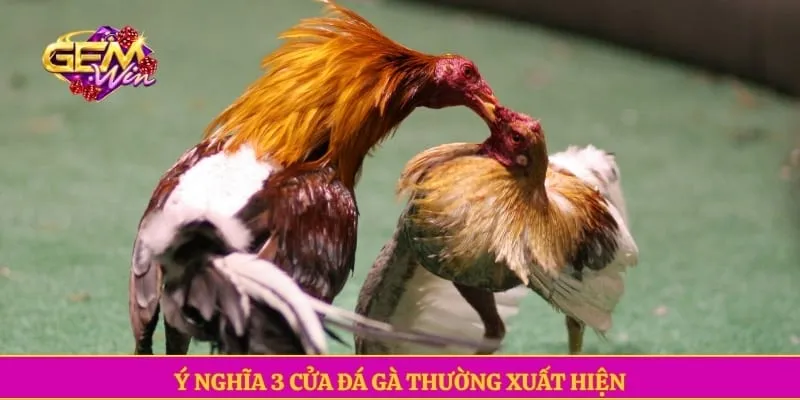 Ý nghĩa 3 cửa đá gà thường xuất hiện